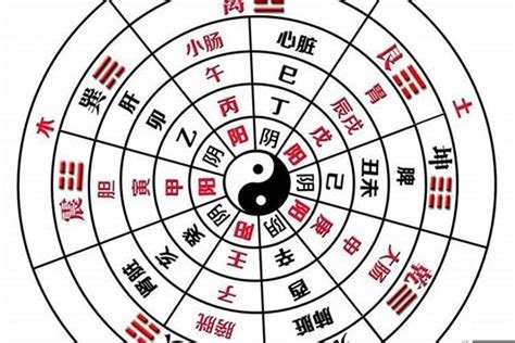 全阳八字|八字全阴或全阳的人怎么样